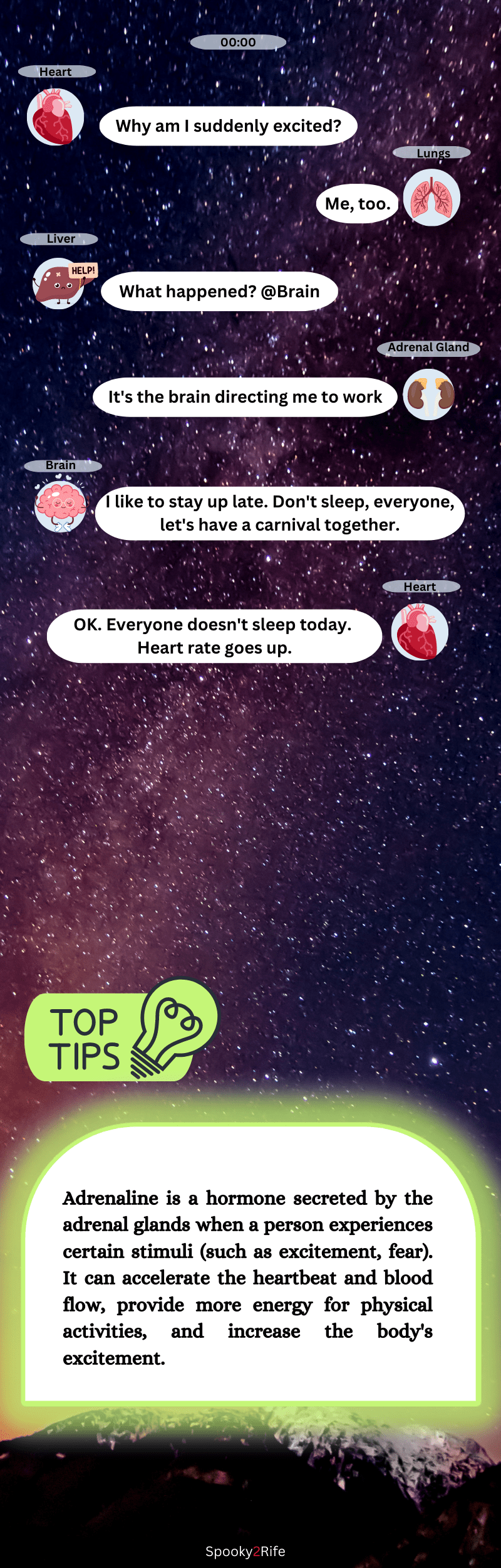 What Are Your Organs Talking About When You Stay Up Late (1)