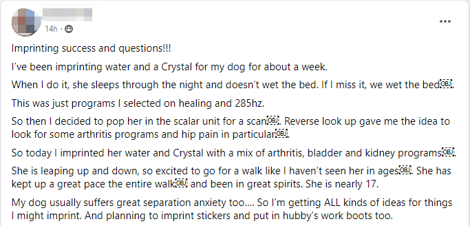 Imprinting Success In My Dog’s Health