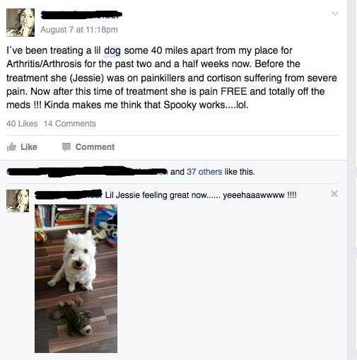 Dog Pain Rife Treatment