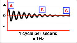The 1 Hz damped sinusoidal