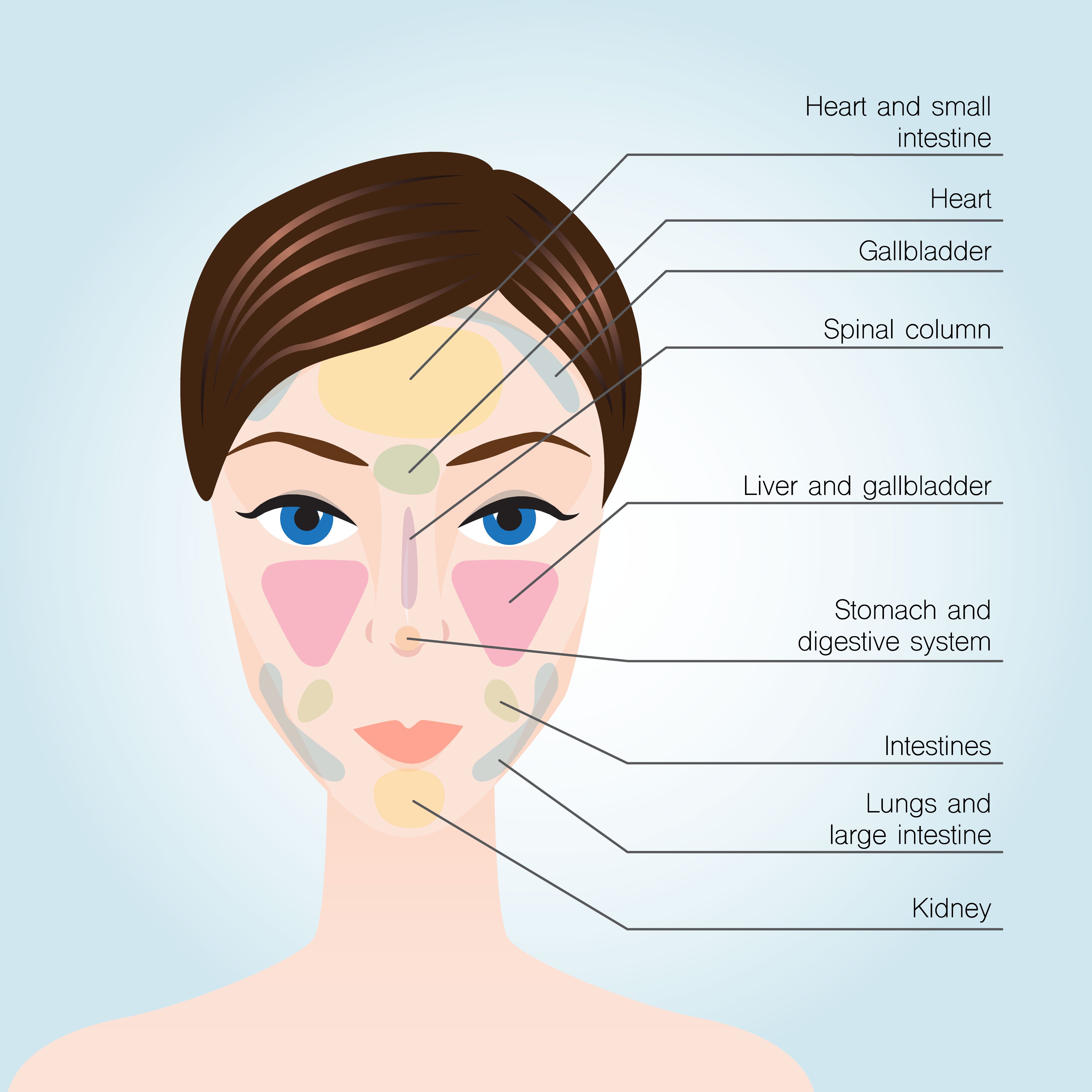 Face Reflexology Chart Face Reflexology Chart