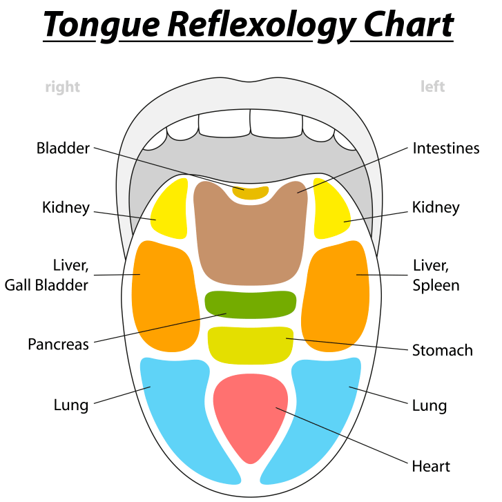 Tongue Reflexology Chart Tongue Reflexology Chart