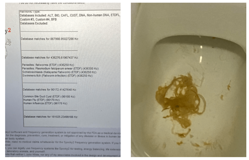 paras 2(1)