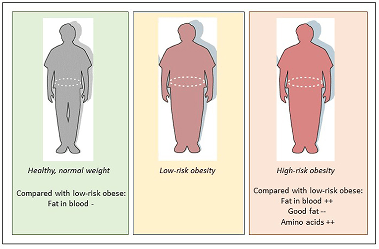 Do All People With Obesity Have Increased Risk of Disease? · Frontiers for Young Minds