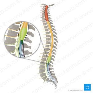 back pain