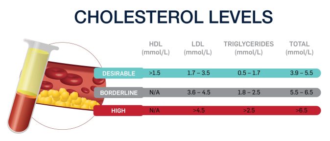 Cholesterol_v2 Cholesterol_v2