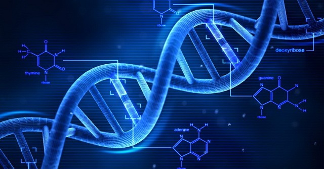 DNA