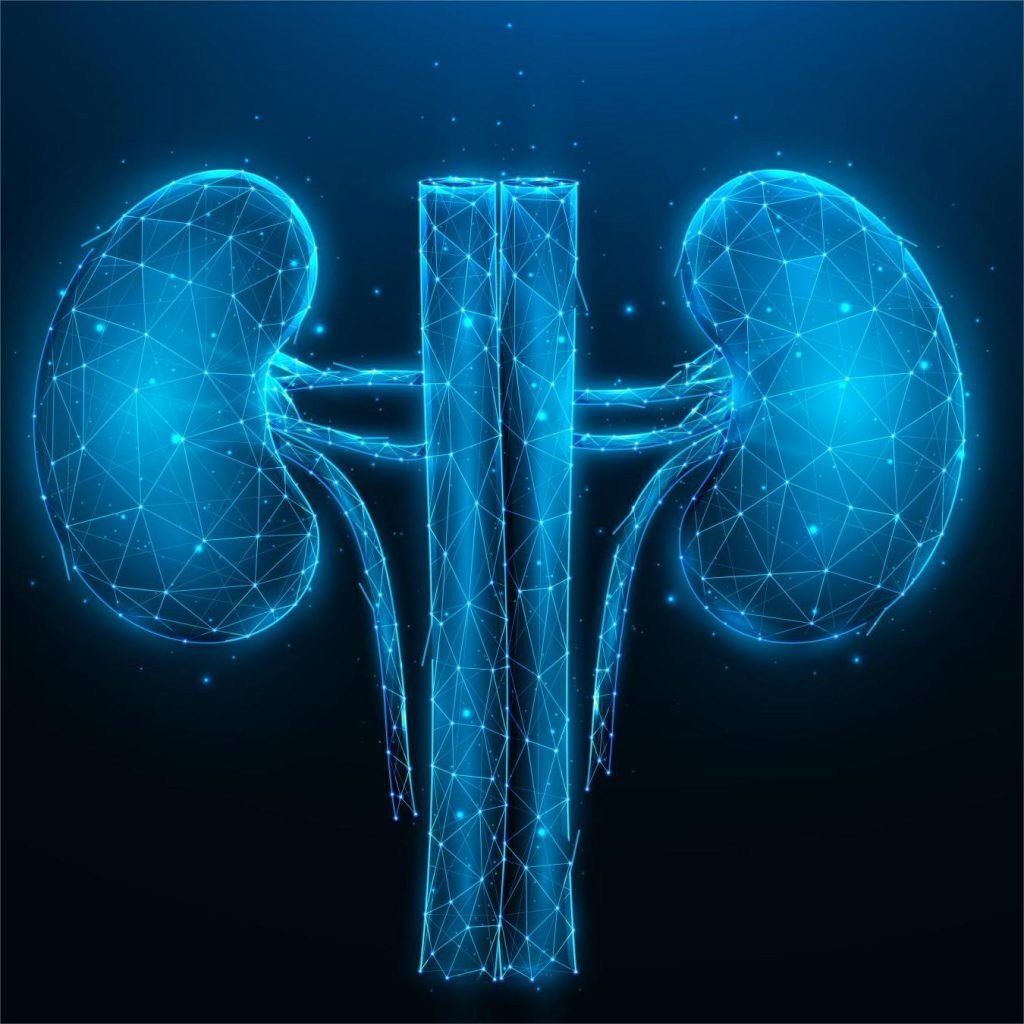 Reproductive & Kidney Health