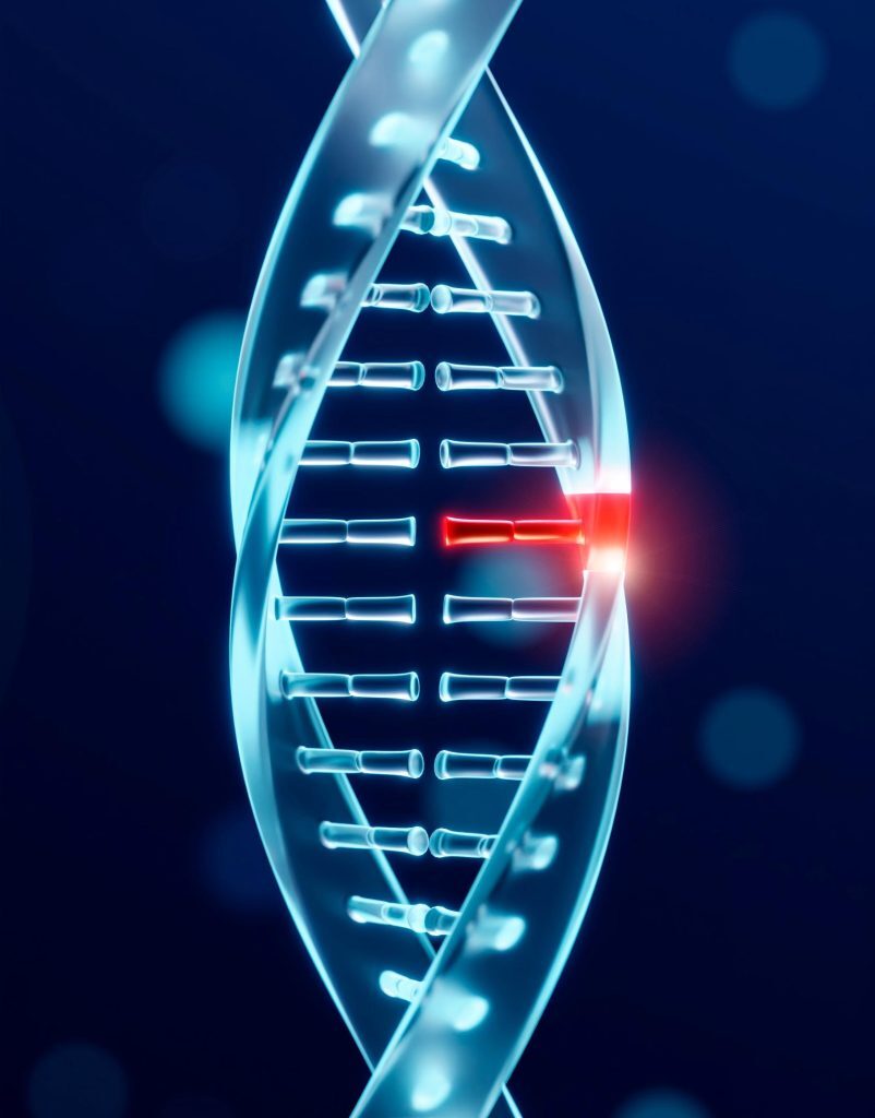 What Is a Peptide Preset
