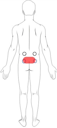 Lower Back Pain