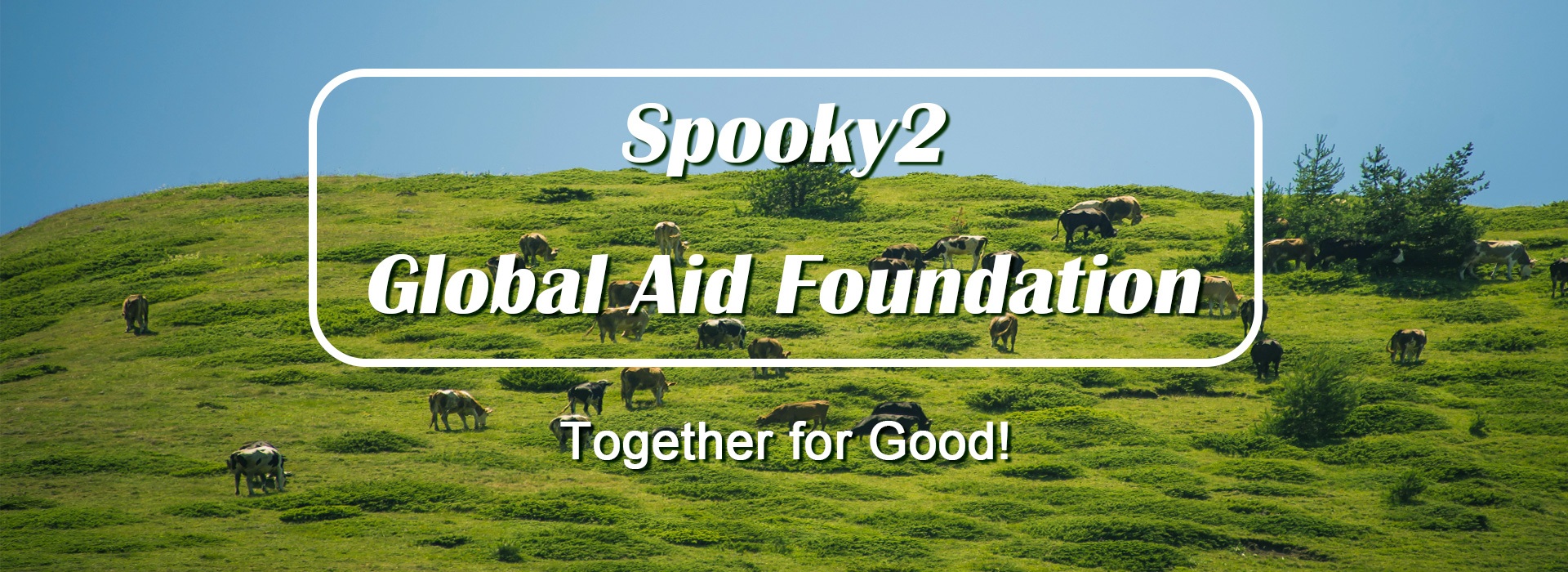 foundation-1.jpg