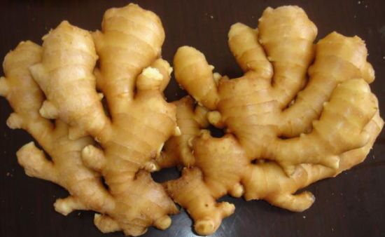 ginger