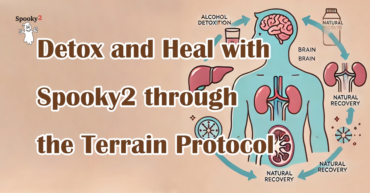 Detox-and-Heal-with-Spooky2-through-the-Terrain-Protocol