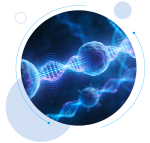 the spiral structure of DNA