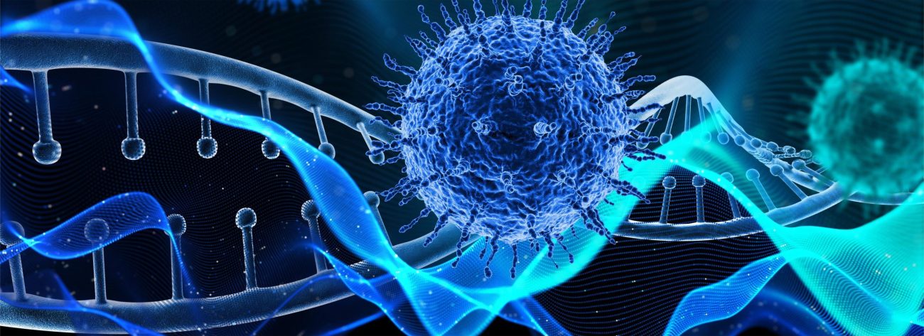 Research and Development Journey