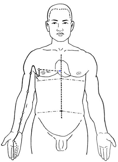 Pericardium