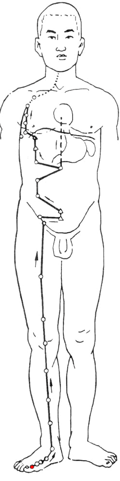 Spleen