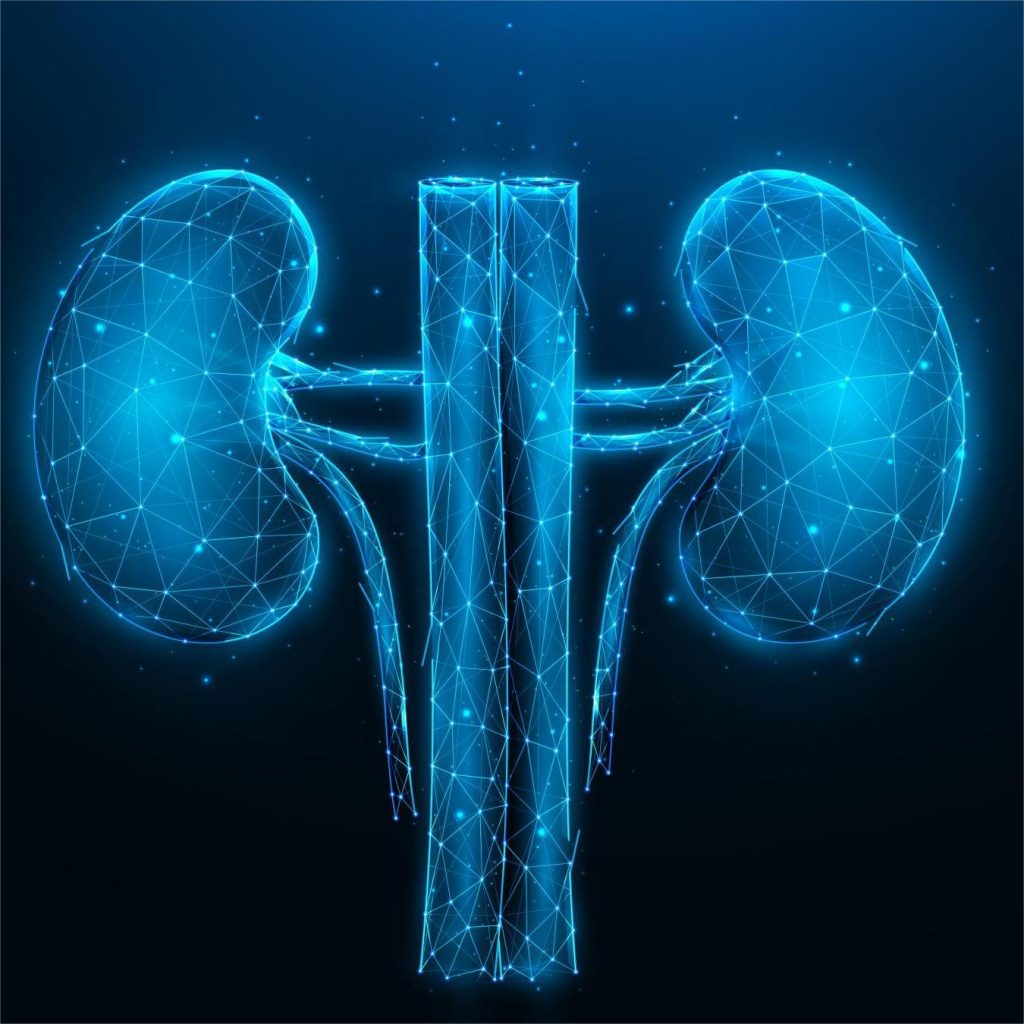 Reproductive & Kidney Health